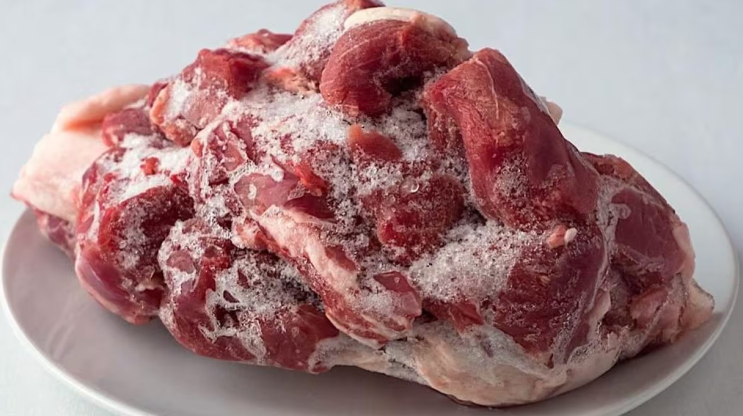 mish i ngrirë në friz